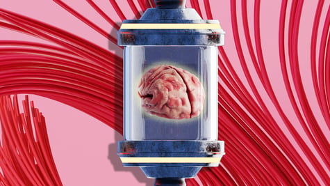 Computer brain