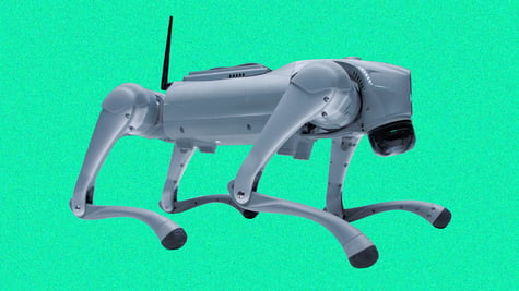 Unitree robot dog equipped with IntuiCell software against a green backdrop