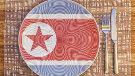North Korean flag on a plate
