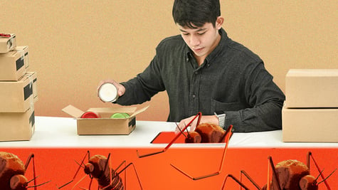 Business attacks bugs