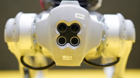 Unitree Go1 robot dog