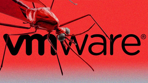 vmware, bug