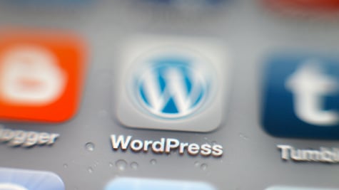 WordPress logo center