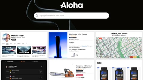 Aloha Browser Snips feature