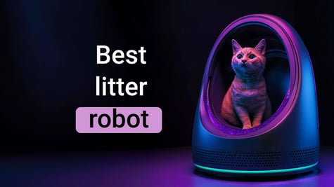 best litter robot