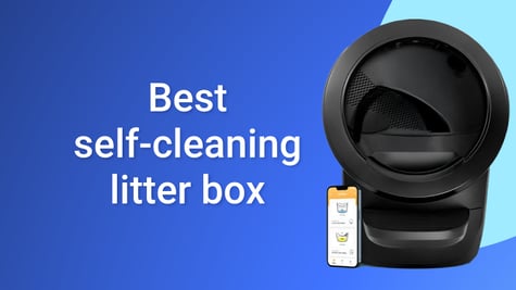 Best self cleaning litterbox
