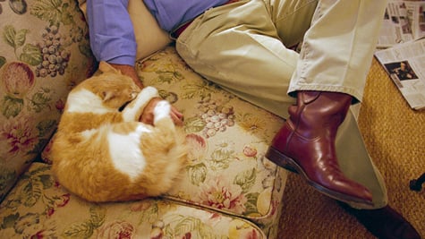 Cat bites George Bush
