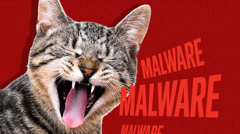 pet microchip malware