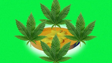 crypto-cannabis