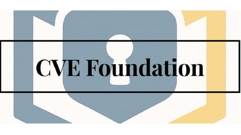 CVE Foundation logo