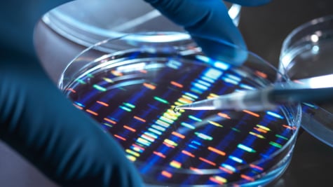 A DNA swab by scientists in a lab.
