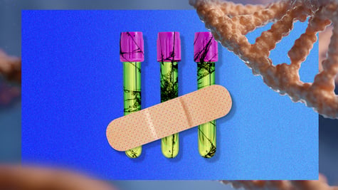 DNA testing, genetics