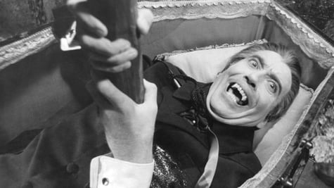 dracula-stake-coffin