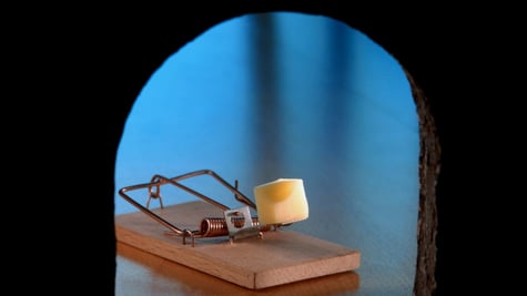 mouse-trap