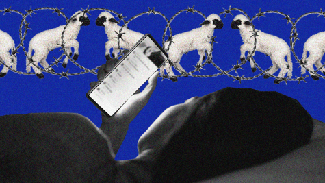 Insomnia, counting sheeps, screen time