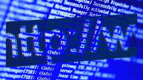 IP address, website, domain