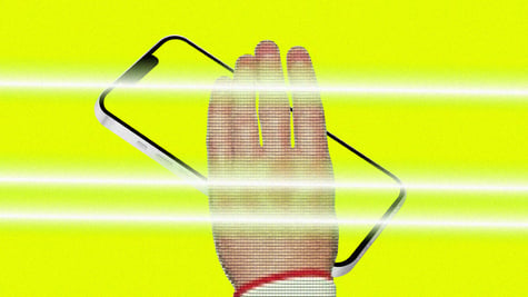 Samsung palm print recognition system