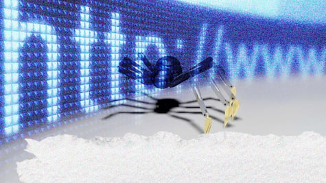 digital spider crawling across a url