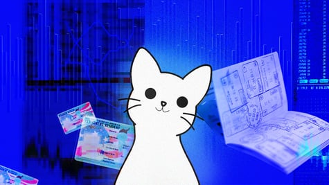 cat tower data leak