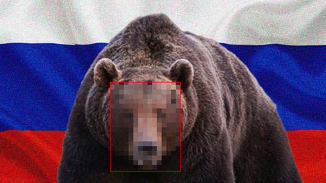 hidden-bear-hackers