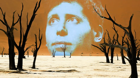 Sam Altman's head looking lost in a wasteland with barren trees.