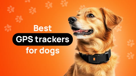 best gps trackers for dogs