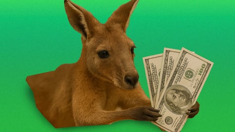 brown cangaroo in green background holding US dollars as ransomware