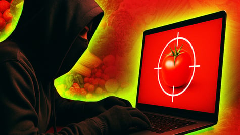 person with black hoody and face mask hacks and targets a red tomato on screen