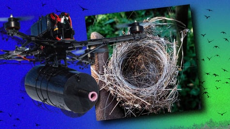 Fiberglass nests