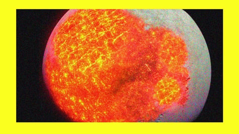 The glorious orange section of the moon.