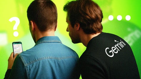 Gemini privacy