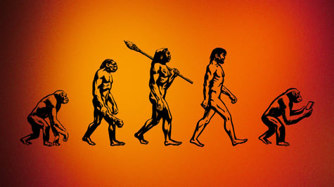 Evolution from monkey to man to monkey with a phone