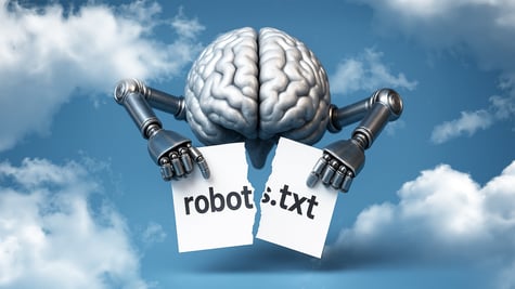 robots.txt