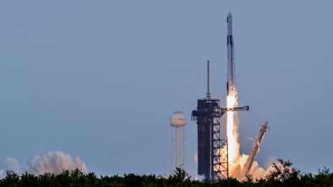 SpaceX NASA Crew 11 mission launch