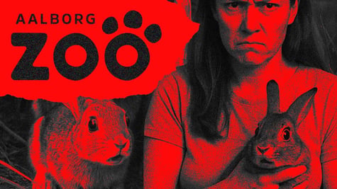 aalborg-zoo-rabbits
