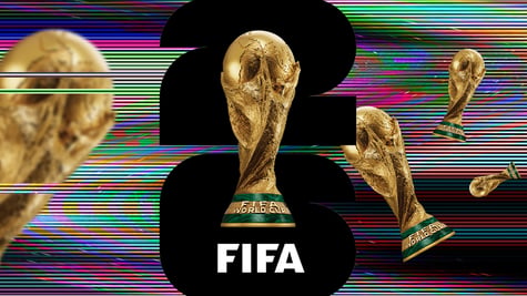 fifa-domain-activity