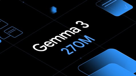 Google Gemma 3 270M