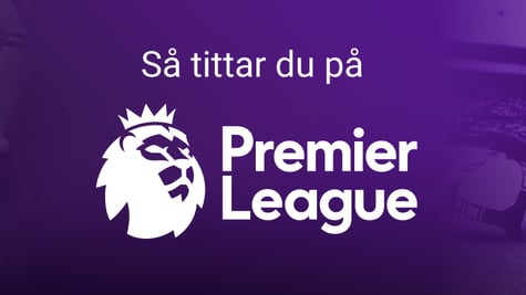 how to stream premier league se