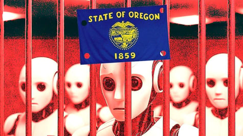 robots jailed state of oregon flag ddos attack