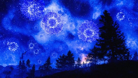 starry blue night sky, dark forest, firns, white cancer cells