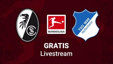Screenshot Freiburg vs. Hoffenheim Team Logo for Bundesliga Stream