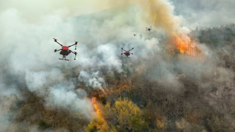 Drones in wildfire