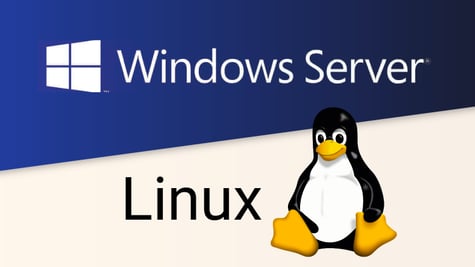 Windows server vs Linux