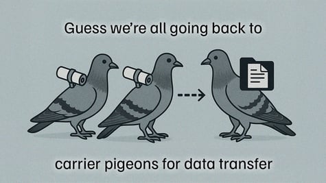 A pigeons meme, reflecting the AWS outage.