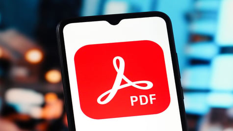 PDF budget leak