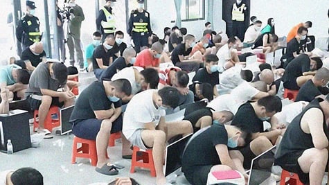 myanmar-scam-nest
