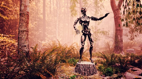 Robot in the woods