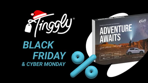 Tinggly Black Friday deals