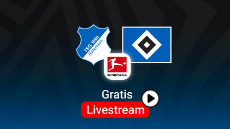 Hoffenheim vs. HSV, Team Logos, Bundesliga