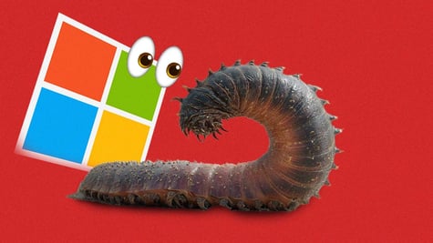 Microsoft worm